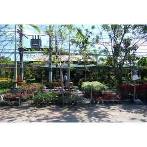 照片 泰国(Thailand) 芭提雅至沙美岛公路(Pattaya to Ko Samet road) 2008-12 70