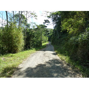 照片 新喀里多尼亚(New Caledonia) 蒂奥至卡纳拉公路(Thio to Canala road) 2010-05 77