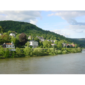 照片 德国(Germany) 海德堡(Heidelberg) 2002-05 17