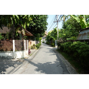 照片 泰国(Thailand) 清迈(Chiang Mai) 2010-12 13
