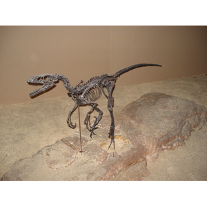 照片 法国(France) 巴黎(Paris) 发现宫(Palace of Discovery) 2006-04 39