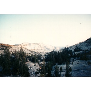 照片 美国(United States) 优胜美地国家公园(Yosemite National Park) 1992-08 32