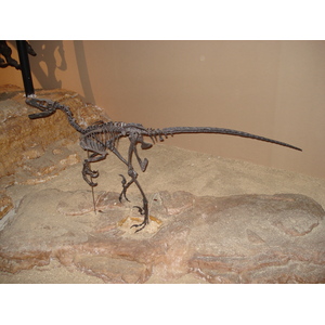 照片 法国(France) 巴黎(Paris) 发现宫(Palace of Discovery) 2006-04 49