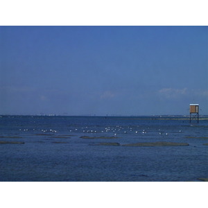 照片 法国(France) 滨海拉普莱讷(La Plaine sur mer) 1999-07 16