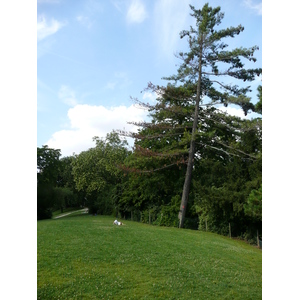 照片 法国(France) 巴黎(Paris) 肖蒙山丘公园(Parc des Buttes Chaumont) 2007-08 42