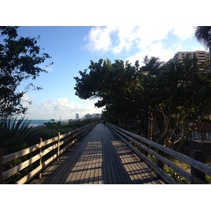照片 美国(United States) 迈阿密海滩(Miami Beach) 2015-03 163