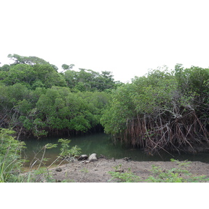 照片 斐济(Fiji) 楠迪至纳塔多拉公路(Nadi to Natadola road) 2010-05 79