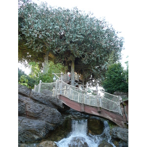 照片 法国(France) 巴黎迪士尼乐园(Disneyland Paris) 鲁滨逊树屋(La Cabane des Robinson) 2007-07 32