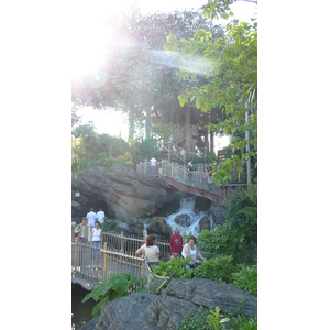 照片 法国(France) 巴黎迪士尼乐园(Disneyland Paris) 鲁滨逊树屋(La Cabane des Robinson) 2007-07 31
