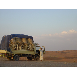 照片 阿联酋(United Arab Emirates) 艾因(Al Ain) 沙漠(Desert) 2005-11 16