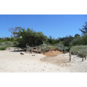 照片 法国(France) 波克罗勒岛(Porquerolles Island) 库尔塔德海滩(Courtade beach) 2008-05 33