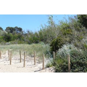 照片 法国(France) 波克罗勒岛(Porquerolles Island) 库尔塔德海滩(Courtade beach) 2008-05 26