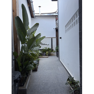 照片 中国(China) 丽江(Lijiang) 2026-01 558