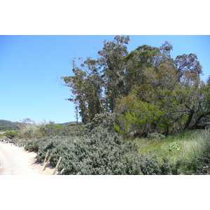 照片 法国(France) 波克罗勒岛(Porquerolles Island) 库尔塔德海滩(Courtade beach) 2008-05 10