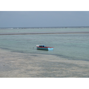 照片 斐济(Fiji) 楠迪至纳塔多拉公路(Nadi to Natadola road) 2010-05 82