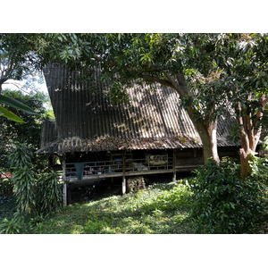 照片 泰国(Thailand) 普吉岛(Phuket) 卡塔海滩(Kata Beach) 卡塔花园度假村(Kata Garden Resort) 2021-12 1