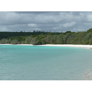 照片 新喀里多尼亚(New Caledonia) 利富岛(Lifou) 卢恩戈尼海滩(Luengoni Beach) 2010-05 25