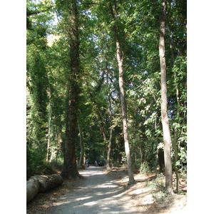 照片 法国(France) 维尔讷夫卢贝(Villeneuve Loubet) 2006-10 17