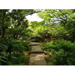 照片 日本(Japan) 东京(Tokyo) 根津美术馆(Nezu Museum) 2010-06 100