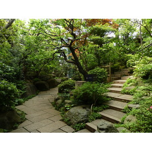照片 日本(Japan) 东京(Tokyo) 根津美术馆(Nezu Museum) 2010-06 90