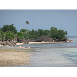 照片 斐济(Fiji) 楠迪至纳塔多拉公路(Nadi to Natadola road) 2010-05 56