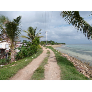 照片 斐济(Fiji) 楠迪至纳塔多拉公路(Nadi to Natadola road) 2010-05 67