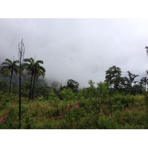 照片 巴拿马(Panama) 戴维至博卡斯德尔托罗(David to Bocas del toro) 2015-03 72