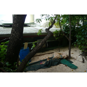 照片 斐济(Fiji) 海滩寻宝者岛(Beachcomber Island) 2010-05 47