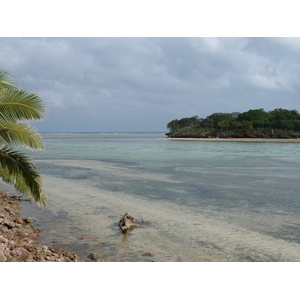 照片 斐济(Fiji) 楠迪至纳塔多拉公路(Nadi to Natadola road) 2010-05 40