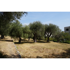 照片 法国(France) 旺斯(Vence) 2017-08 15