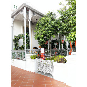 照片 新加坡(Singapore) 新加坡莱佛士酒店(Raffles Hotel Singapore) 2023-01 14