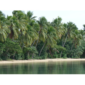 照片 斐济(Fiji) 维赛赛村(Viseisei) 2010-05 13
