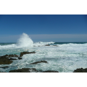 照片 南非(South Africa) 齐齐卡马国家公园(Tsitsikamma National Park) 2008-09 357