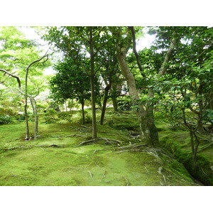照片 日本(Japan) 京都(Kyoto) 银阁寺(Ginkakuji Temple(Silver Pavilion)) 2010-06 42