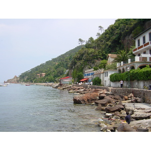 照片 法国(France) 埃斯特雷尔山(Esterel) 2003-05 15