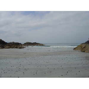 照片 爱尔兰(Ireland) 凯里郡(Kerry) 帕克纳西拉(Parknasilla) 2004-05 32