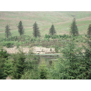 照片 英国(United Kingdom) 布雷肯比肯斯国家公园(Brecon Beacons National Park) 2006-05 95