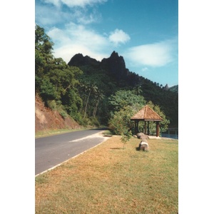 照片 波利尼西亚(Polynesia) 塔希提岛(Tahiti) 1993-04 1