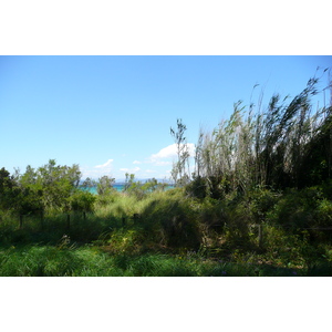 照片 法国(France) 波克罗勒岛(Porquerolles Island) 库尔塔德平原(Plaine de la courtade) 2008-05 6
