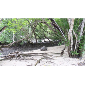 照片 塞舌尔(Seychelles) 2011-10 109