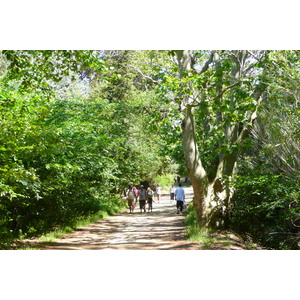 照片 法国(France) 波克罗勒岛(Porquerolles Island) 库尔塔德平原(Plaine de la courtade) 2008-05 25