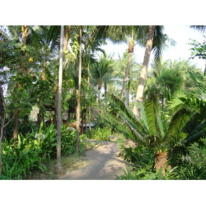 照片 缅甸(Myanmar) 仰光(Yangon) 甘达基宫殿酒店(Kandawgyi Palace Hotel) 2005-01 24