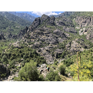 照片 法国(France) 科西嘉岛(Corsica) 艾托内森林(Aitone Forest) 2021-06 49
