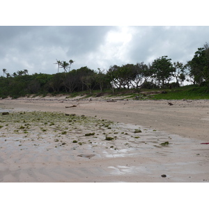 照片 斐济(Fiji) 楠迪至纳塔多拉公路(Nadi to Natadola road) 2010-05 44