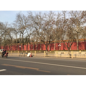 照片 中国(China) 北京(Beijing) 紫禁城(Forbidden City) 2015-12 90