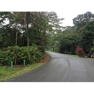 照片 哥斯达黎加(Costa Rica) 塔拉曼卡旧港(Puerto Viejo de Talamanca) 2015-03 80