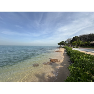 照片 泰国(Thailand) 芭提雅(Pattaya) 2024-12 32
