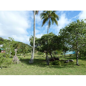 照片 新喀里多尼亚(New Caledonia) 利富岛(Lifou) 约西普(Josip) 2010-05 30