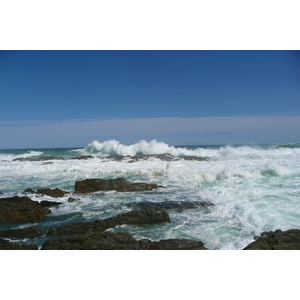 照片 南非(South Africa) 齐齐卡马国家公园(Tsitsikamma National Park) 2008-09 355