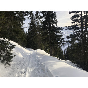 照片 法国(France) 阿尔利河畔普拉(Praz sur Arly) 2019-12 262